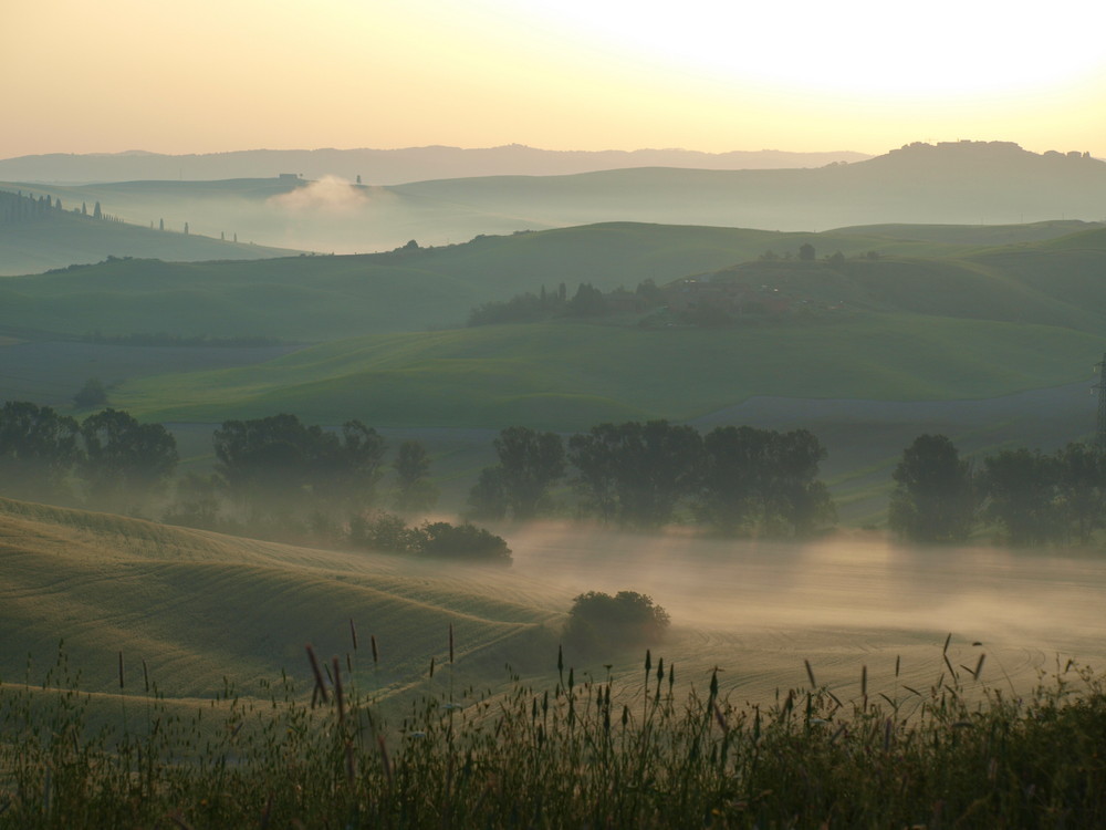 Die Grete Senesie kurz nach Sonnenaufgang (Südtoskana)