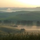 Die Grete Senesie kurz nach Sonnenaufgang (Südtoskana)