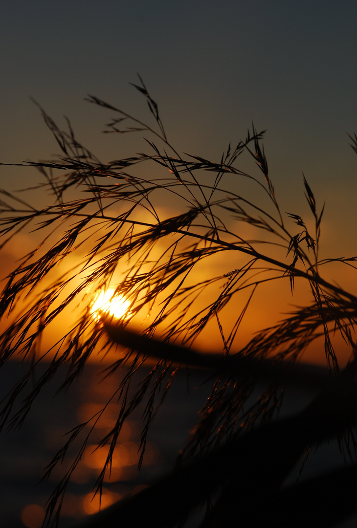 Die griechische Sonne