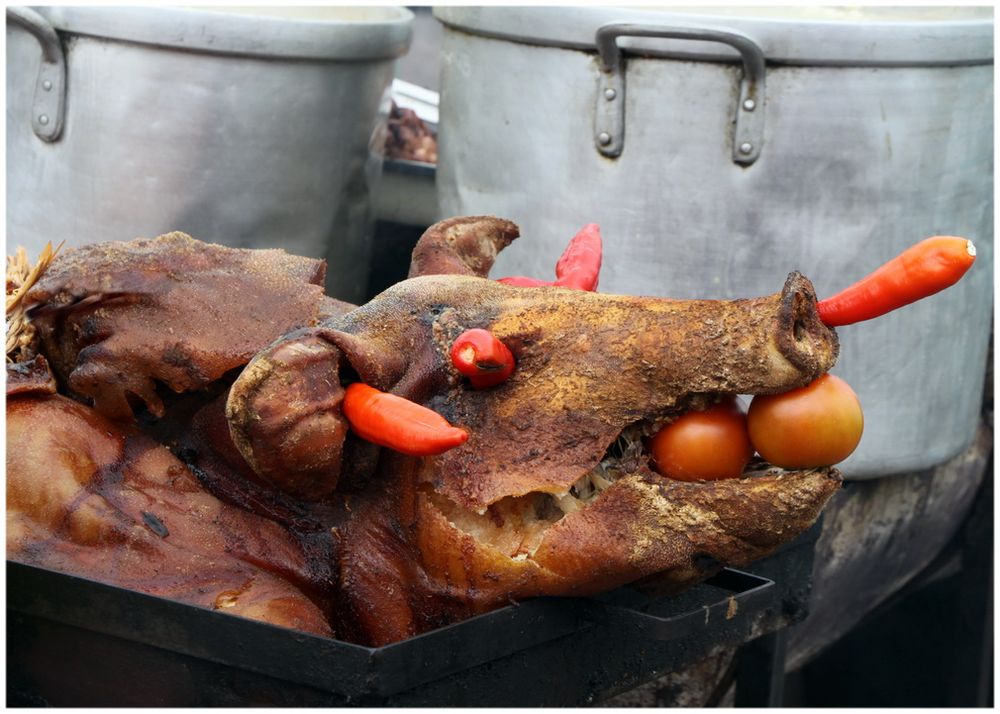 Die Grillsaison beginnt