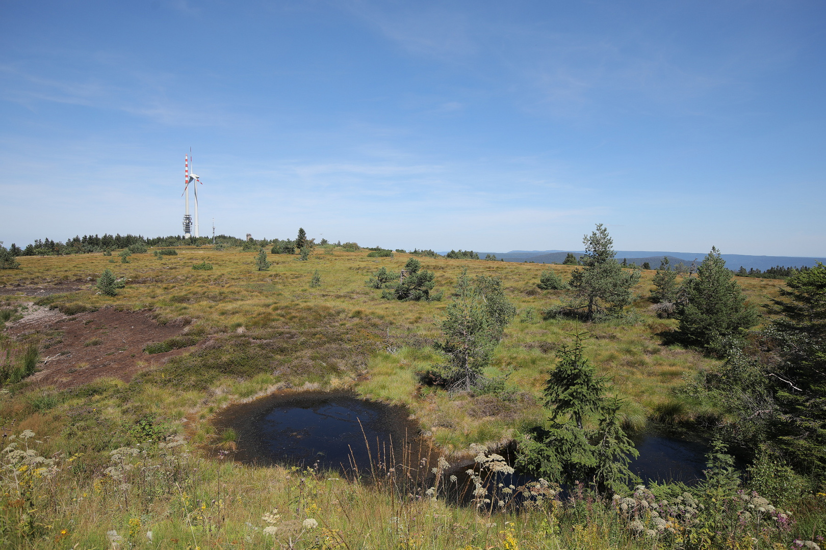 Die Grinde auf der Hornisgrinde