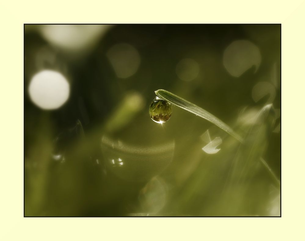 Die Größe der Kleinigkeit Foto & Bild nah & makro, techniken