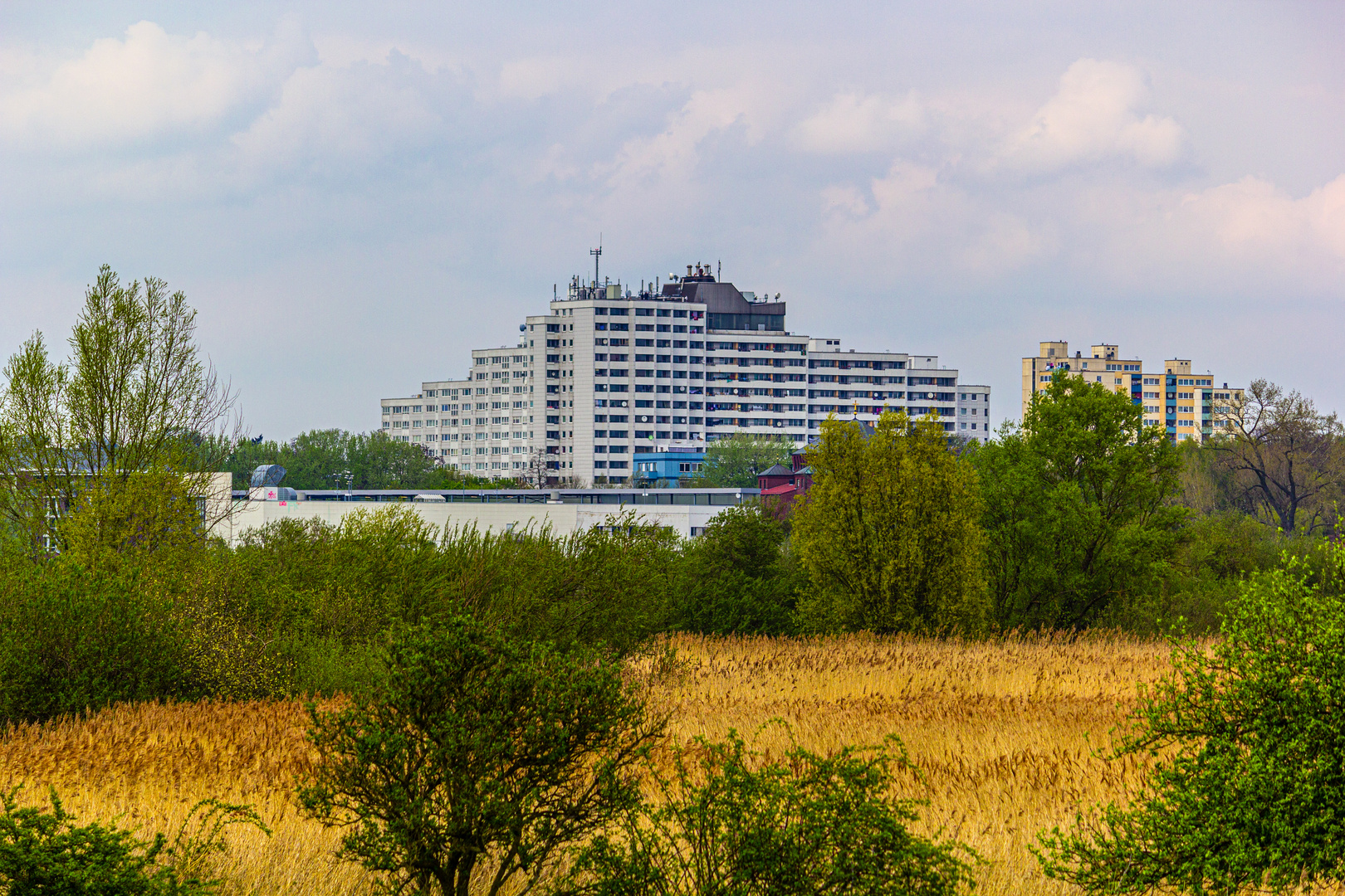 Die Grohner Düne