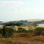 Die große Düne bei Nidden