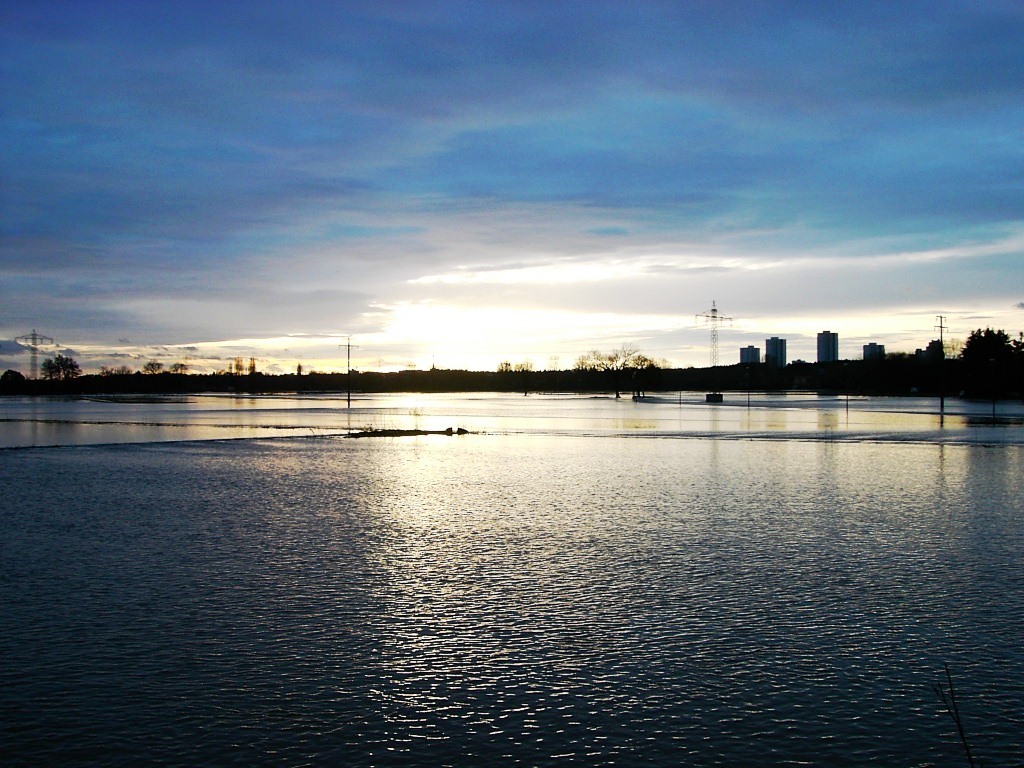 Die große Flut in Erlangen, Januar 2011