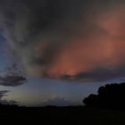 Die große grau-rote Ufo-HImbeere