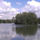 Die große Insel auf dem kleinem Teich