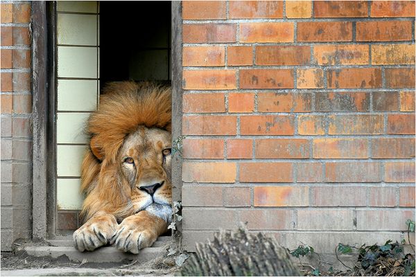 Die große Langeweile