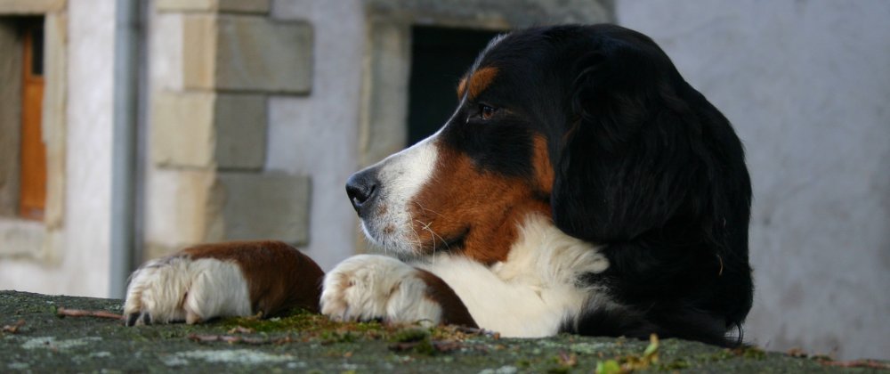 Die große Liebe