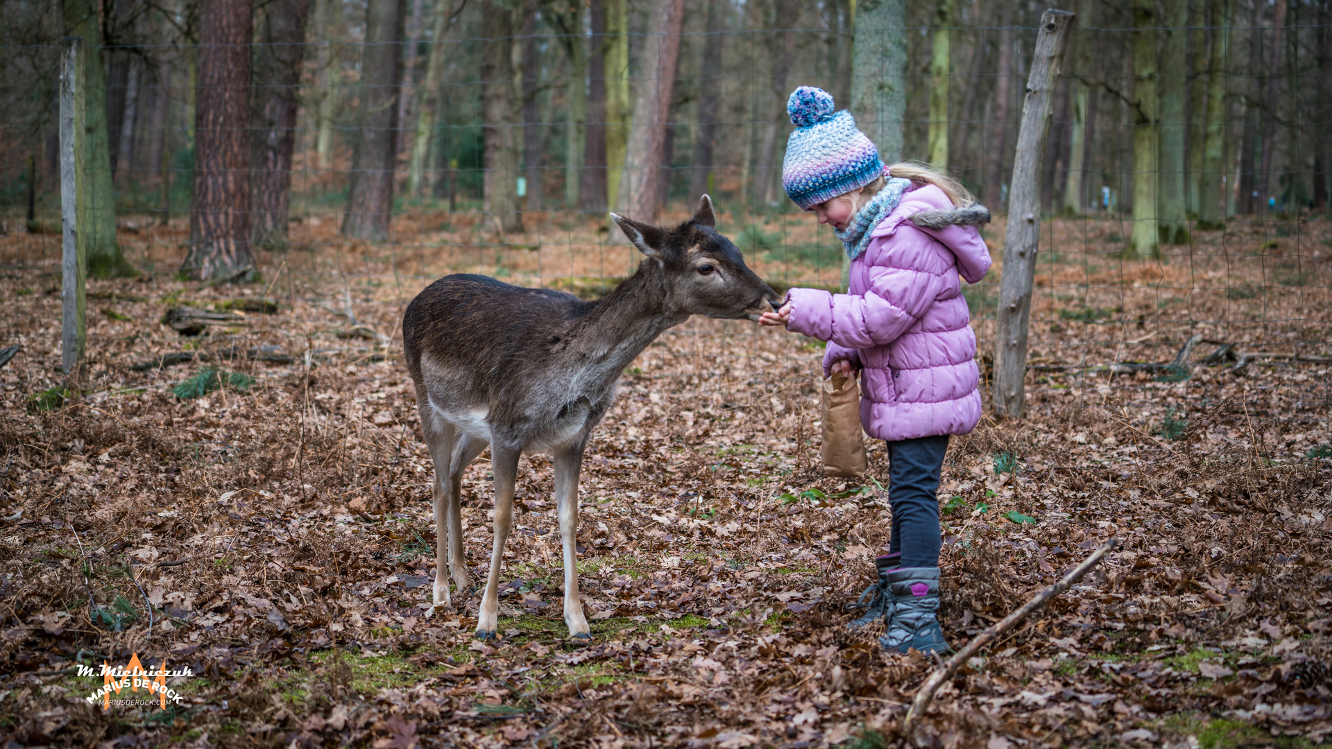 Die große Liebe zwischen Mensch und Tier 