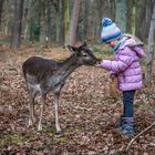 Die große Liebe zwischen Mensch und Tier 