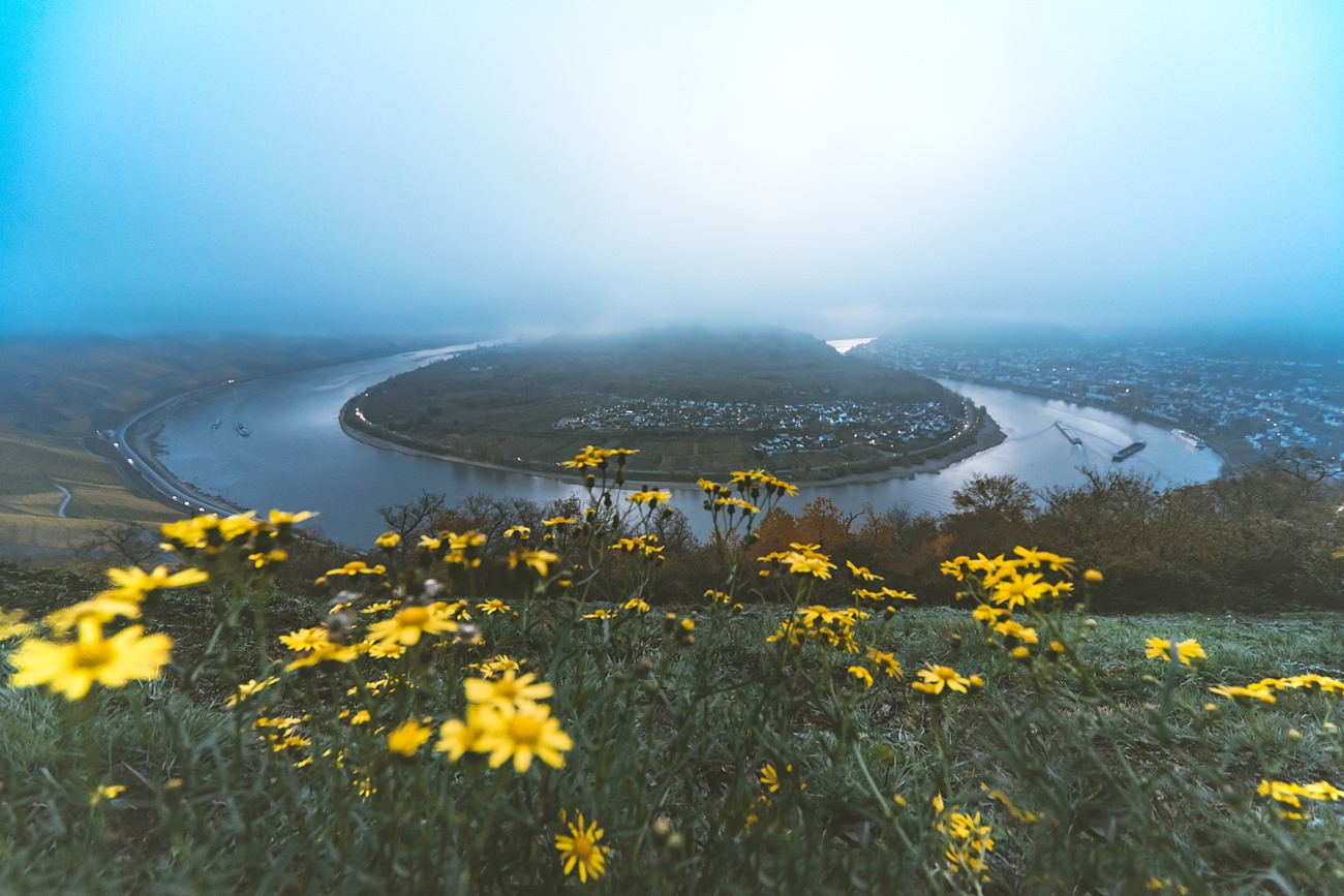 Die große Rheinschleife bei Boppard