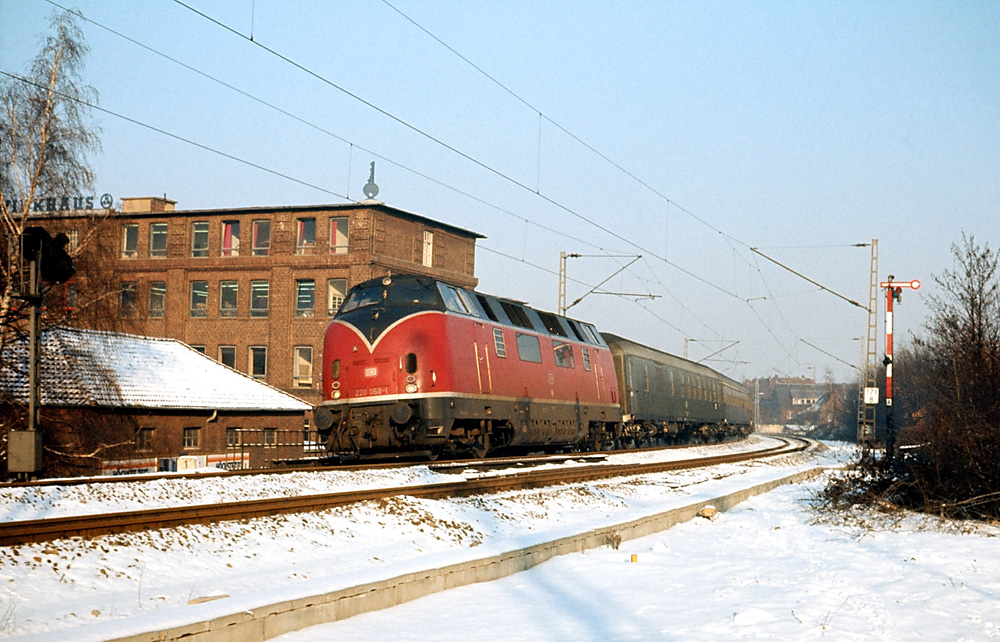 Die große Rote im Schnee