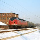 Die große Rote im Schnee