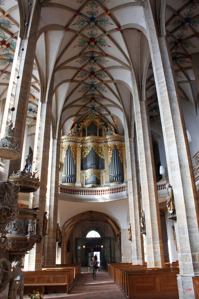 die große Silbermannorgel im Freiberger Dom