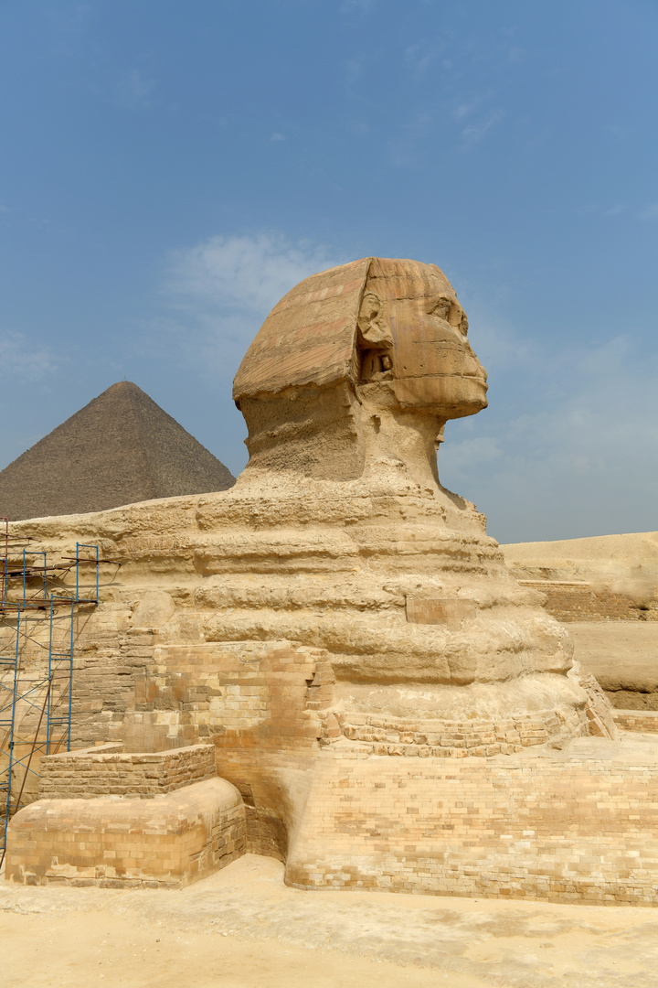 Die große Sphinx 6