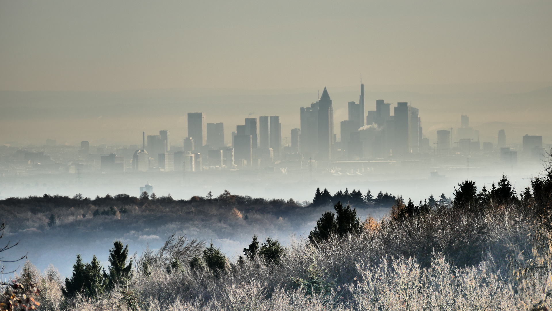 die große Stadt hinter den Taunuswäldern