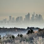 die große Stadt hinter den Taunuswäldern