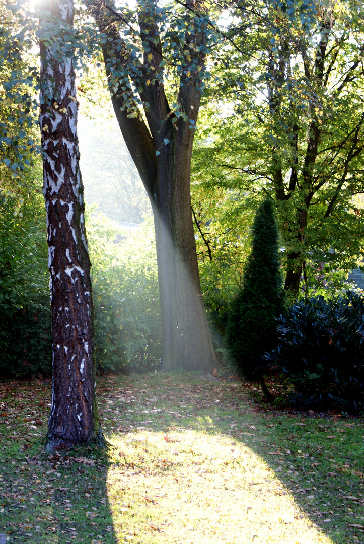 Die große Taschenlampe am Himmel