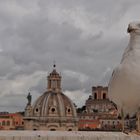 Die große Taube von Rom