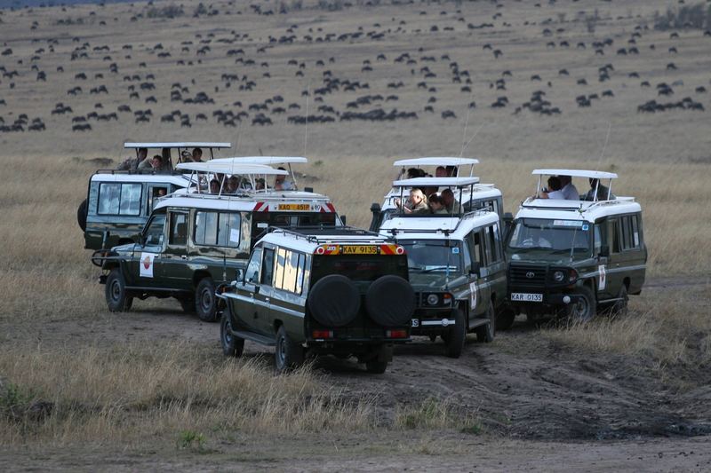 Die große Wanderung der Jeeps