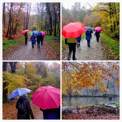 Die große Wanderung fiel ins Wasser-:))