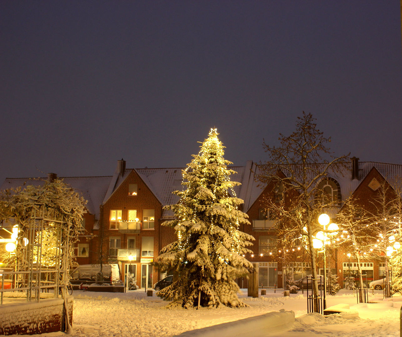 Die große Weihnachtstanne auf unserem Marktplatz