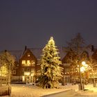 Die große Weihnachtstanne auf unserem Marktplatz