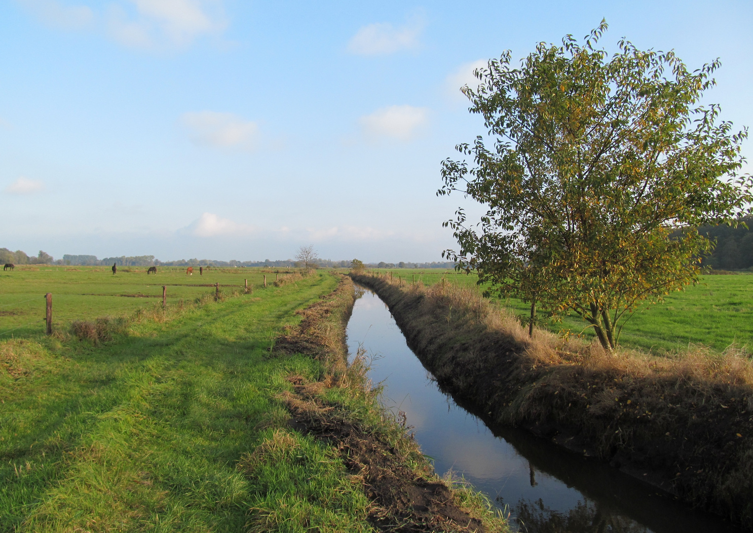 die große Wettern an der Hengstweide .... 