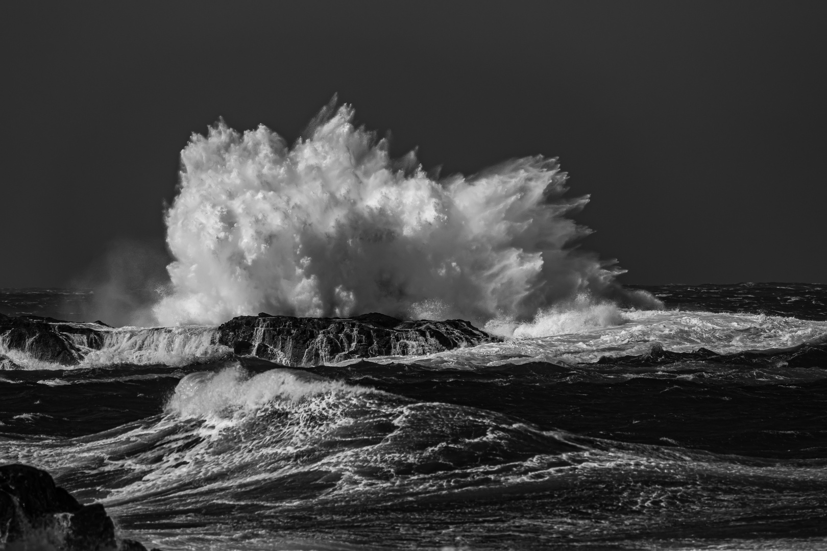 Die große wilde WELLE