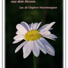 Die großen Gedanken ... (Margerite)