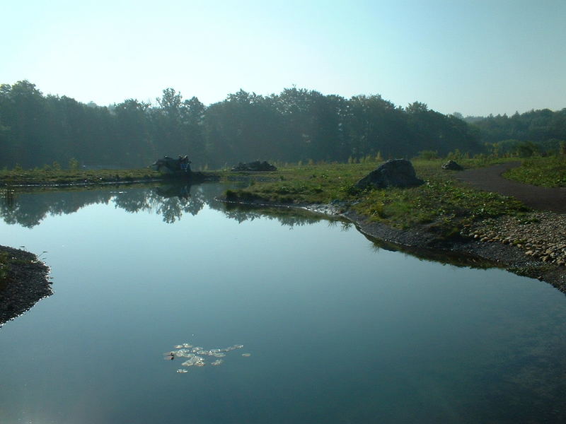 Die Grossen Seen im Forstbotanischen Garten Tharandt