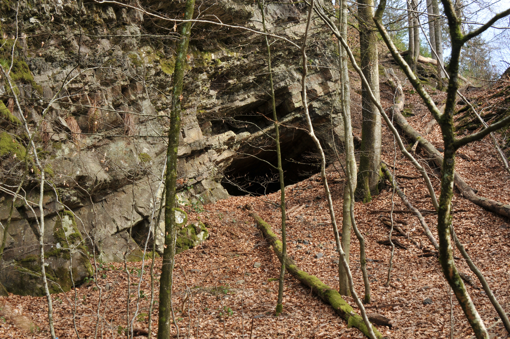 Die Grotte im Wald