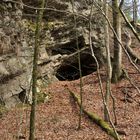 Die Grotte im Wald