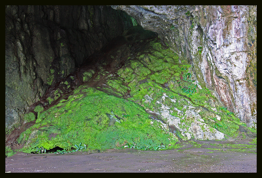 Die Grotte Smoo Cave