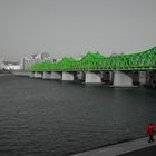 die grüne Brücke