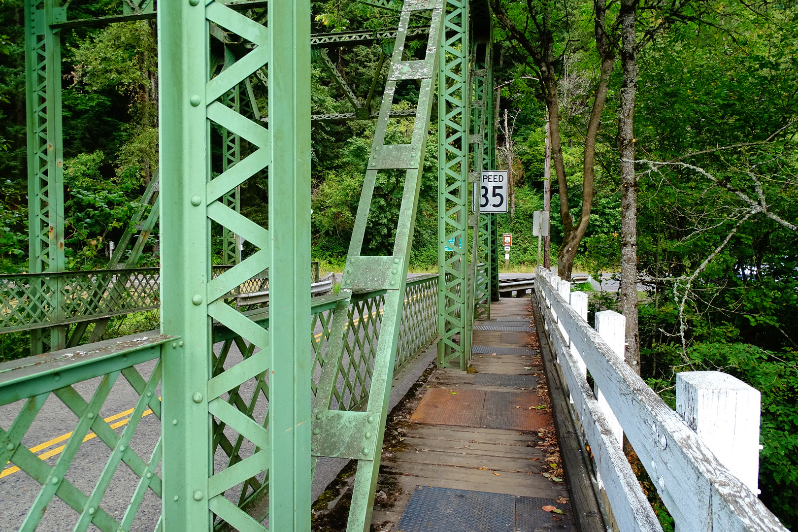 Die grüne Brücke