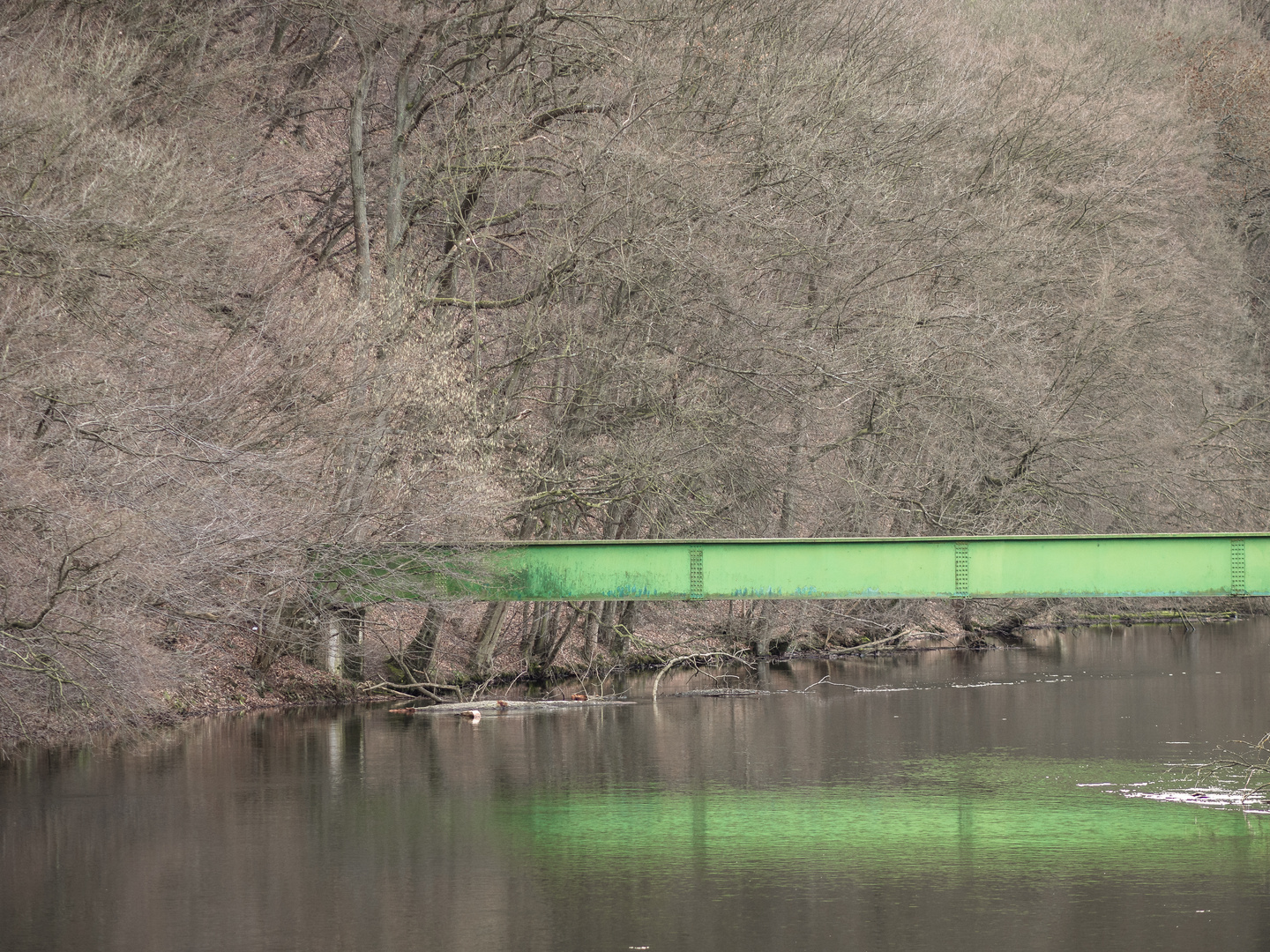 Die grüne Brücke