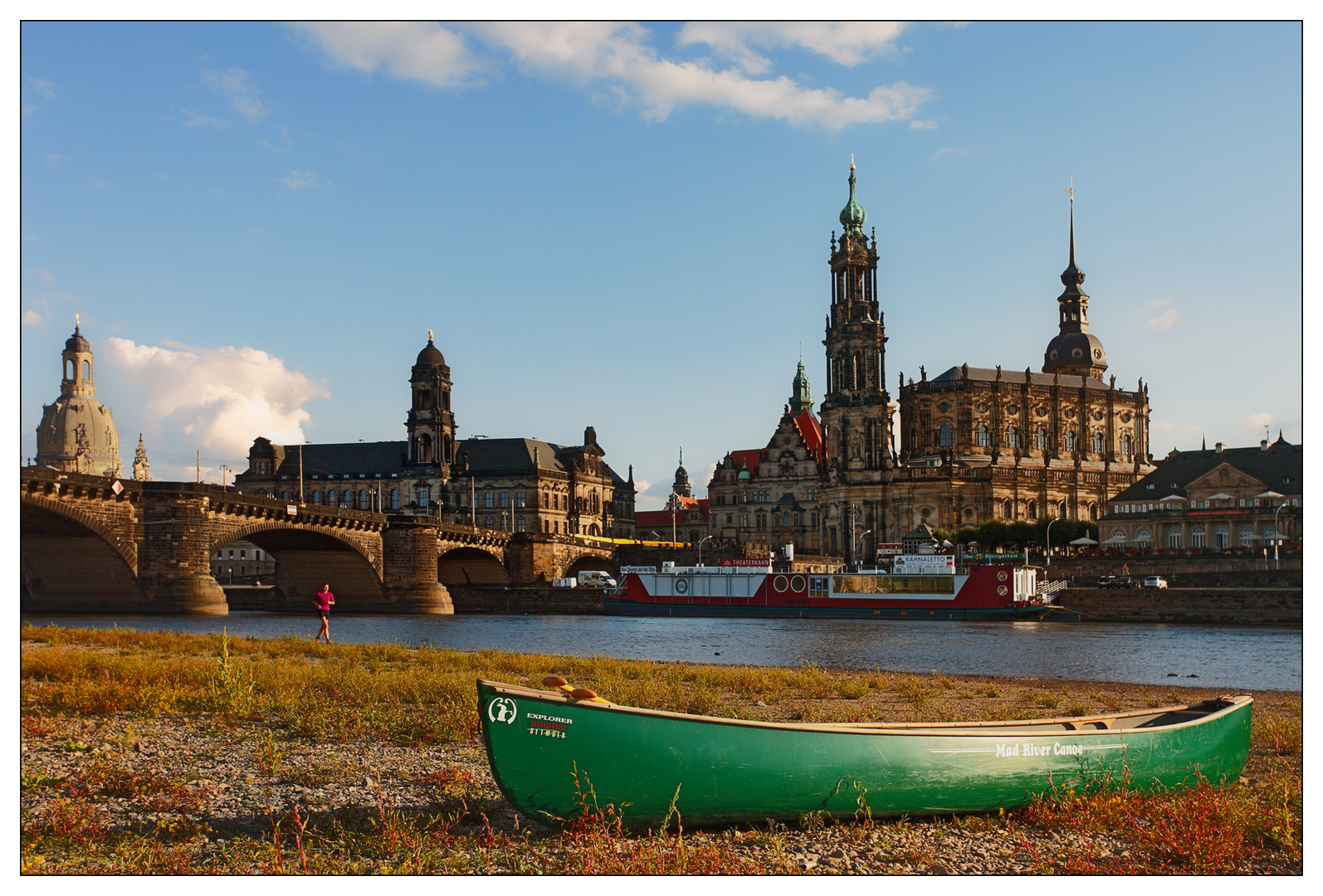 Die grüne Flotte