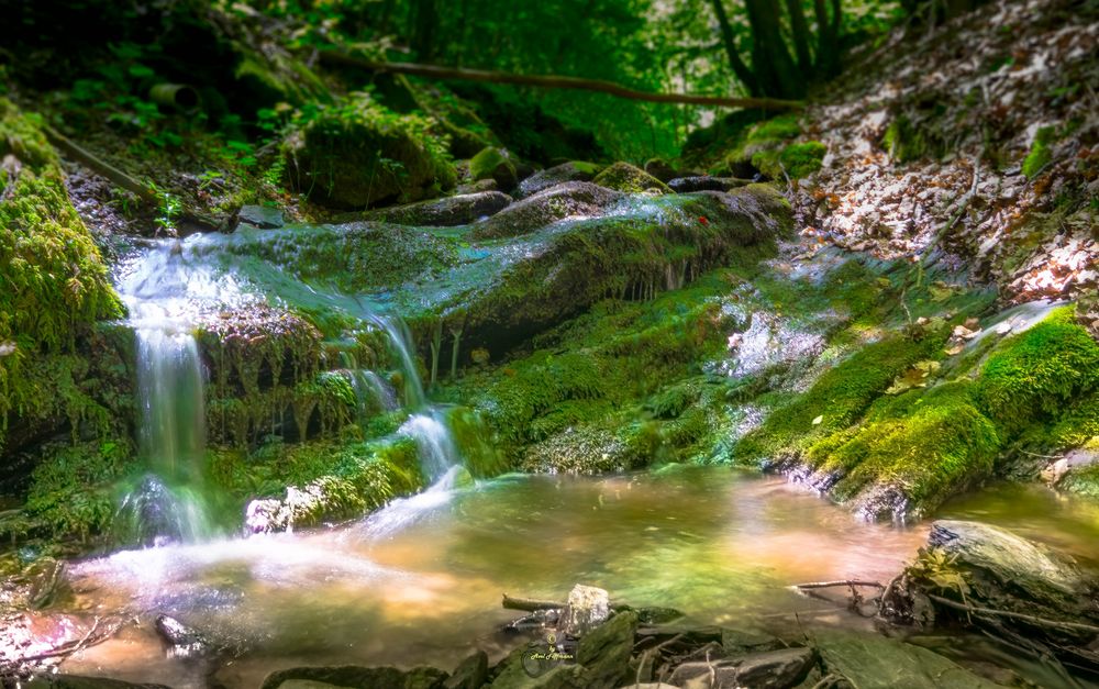 Die Grüne Hölle Foto & Bild deutschland, europe, rheinlandpfalz