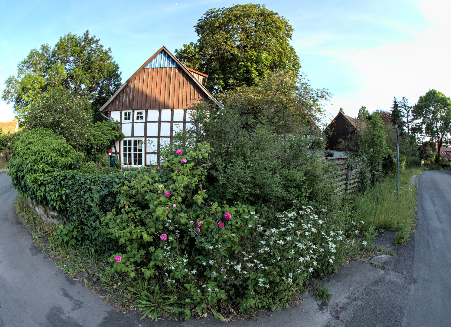 Die grüne Insel