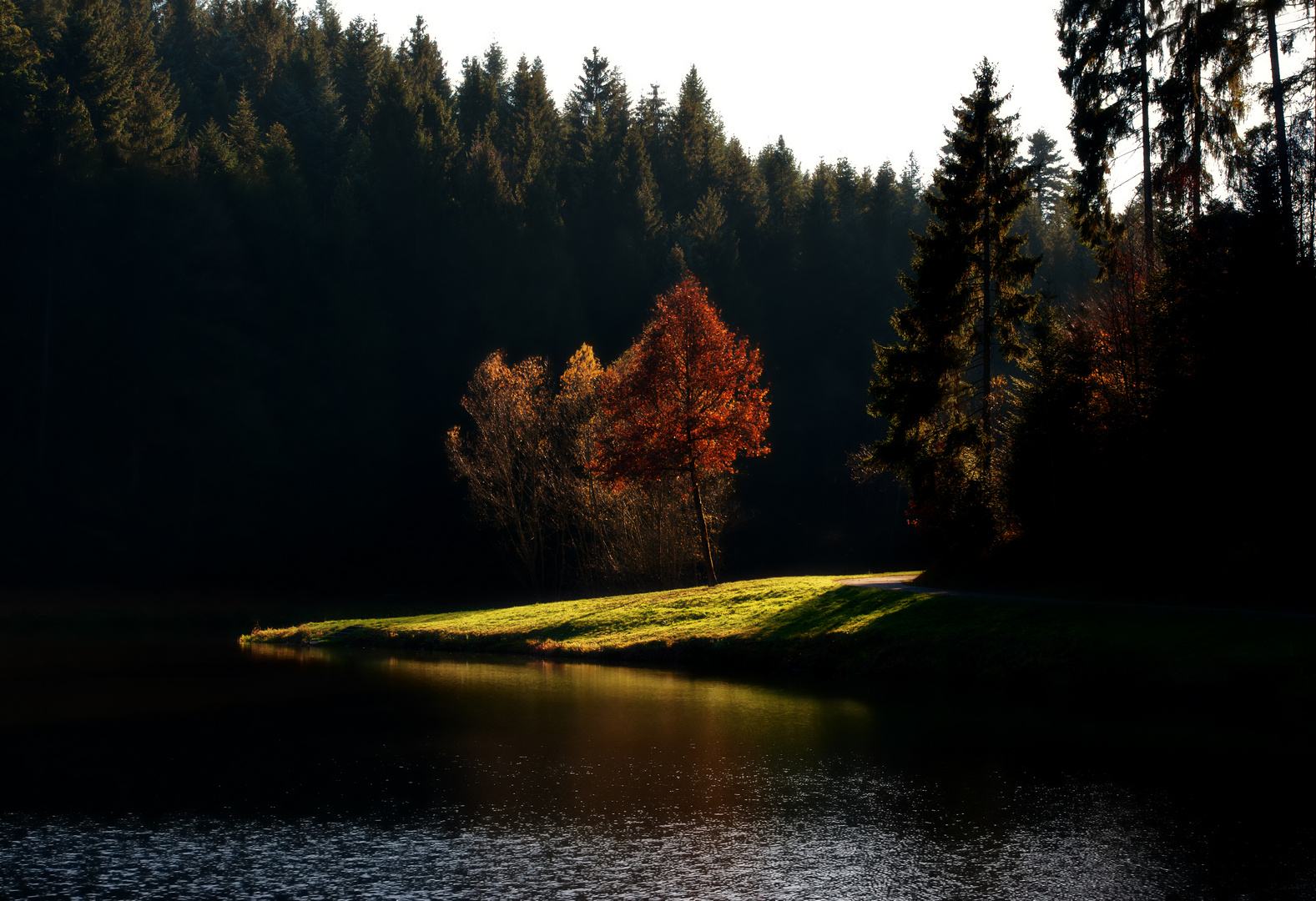 Die grüne Insel