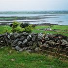 die grüne Insel - IRLAND