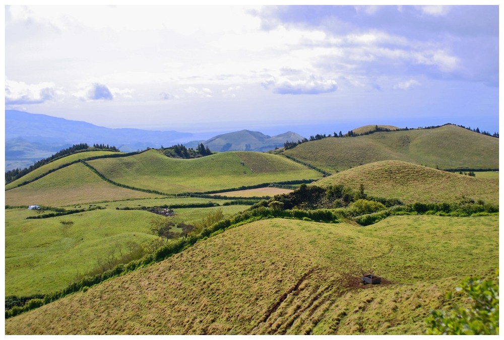 Die Grüne Insel Sao Miguel..