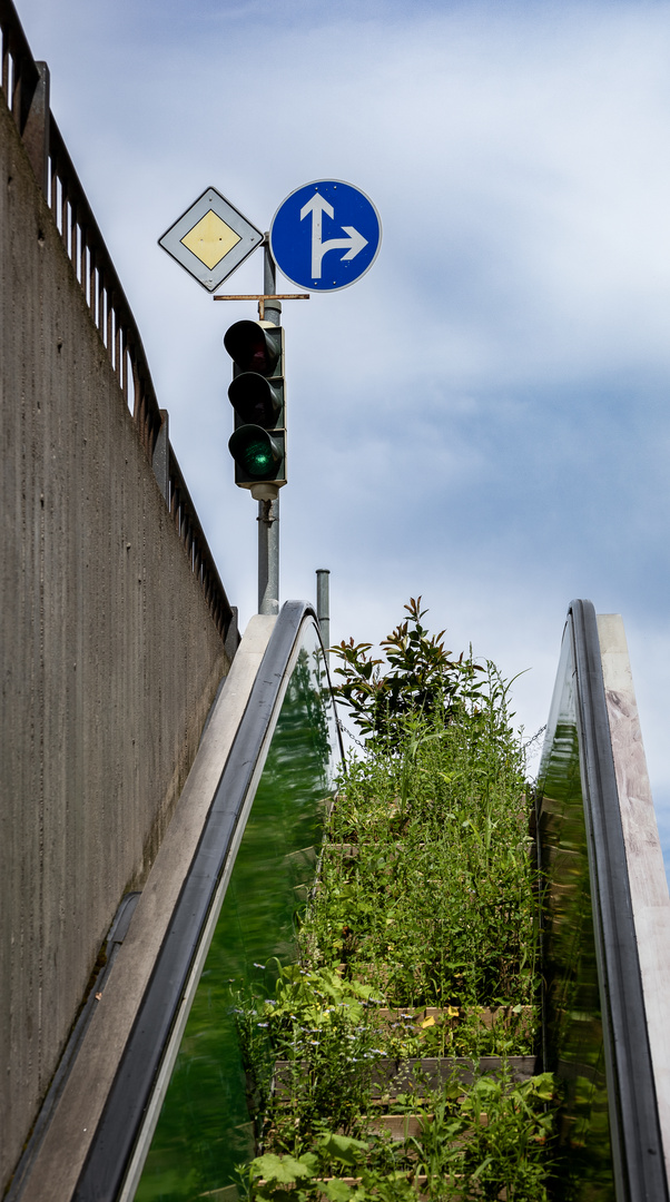 Die grüne Rolltreppe 