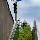 Die grüne Rolltreppe 