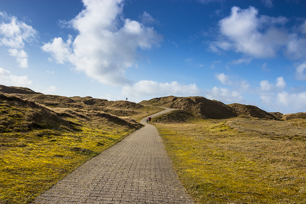 die grüne Seite der Insel Norderney