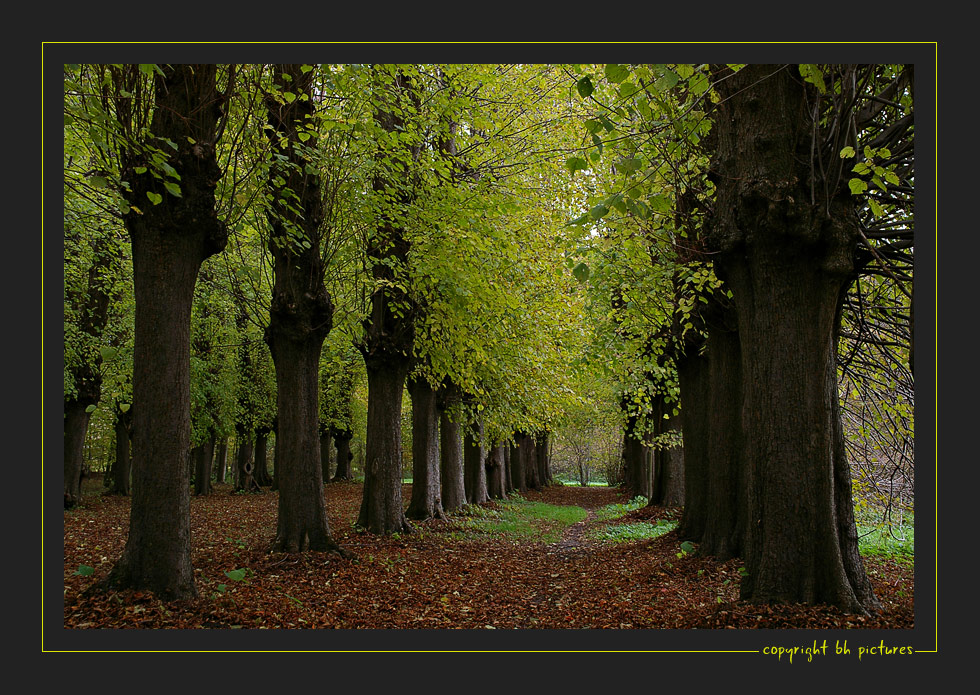 Die grüne Seite des Herbstes