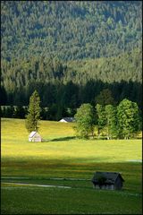 Die grüne Steiermark (2)