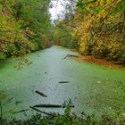 Die grüne Wasserstraße